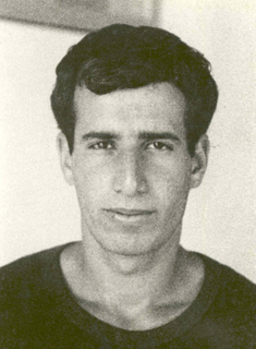 זיו קולברג
